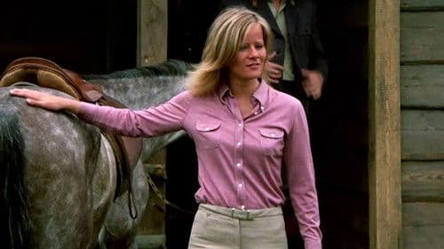 Der Hengst Karino Bild 2