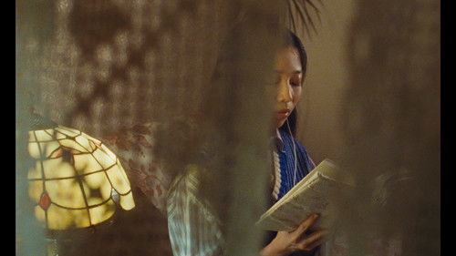 月亮总在照顾大地 Bild 4