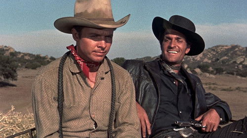 Adlerschwinge Bild 2