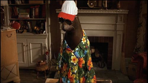 André – Die kleine Robbe Bild 6