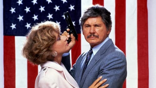 Der Mordanschlag Bild 6