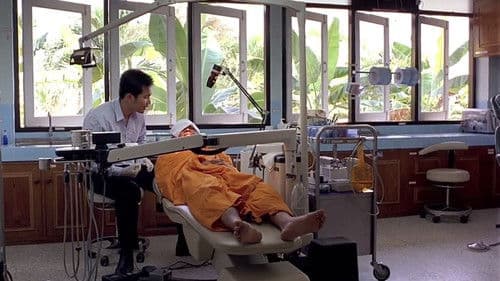 Syndromes and a Century - Licht des Jahrhunderts Bild 2