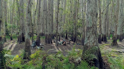 Die Rückkehr des Pumas Bild 5