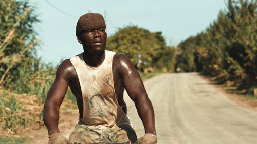 One Day One Day Bild 5