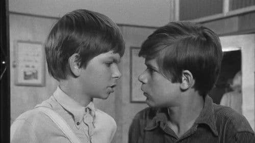 Podróż za jeden uśmiech Bild 4