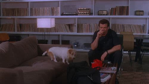 The Last Bandit Bild 4