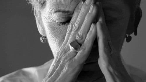 El testament de la Rosa Bild 1