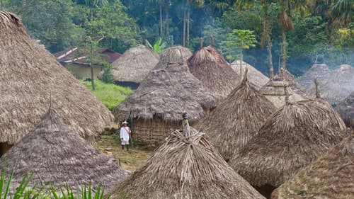 Amazon: The Lost World Bild 2