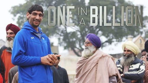 One in a Billion Bild 6