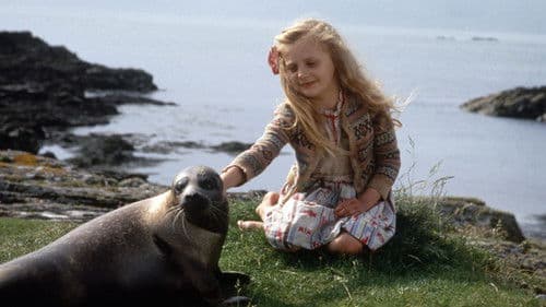 Das Geheimnis des Seehundbabys Bild 7