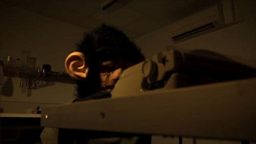 The Infinite Monkey Theorem Bild 1