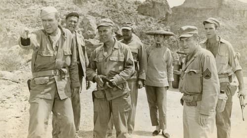 Der Kommandant Bild 2