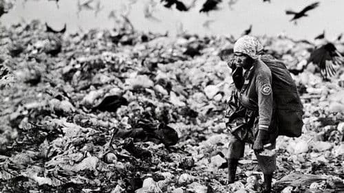 Estamira Para Todos E Para Ninguém Bild 1