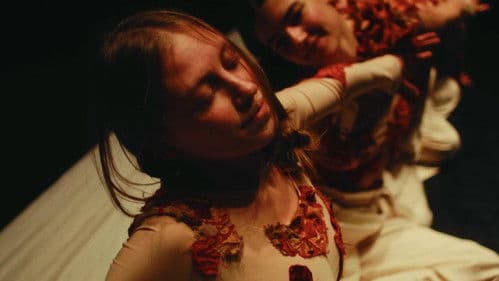 Match in a Haystack Bild 1