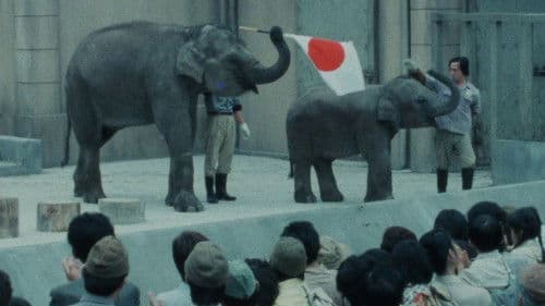 子象物語 地上に降りた天使 Bild 2