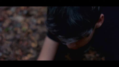 A Mata Não Esquece Bild 5