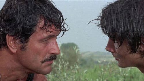 Das Wespennest Bild 7