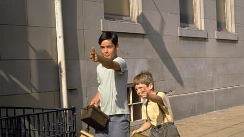 König der Murmelspieler Bild 1