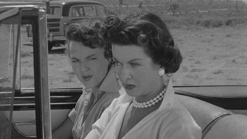 Die Autofalle von Las Vegas Bild 6