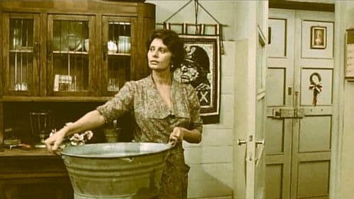 Ein besonderer Tag Bild 6