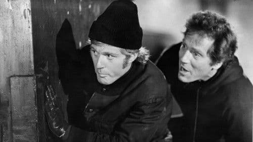 Vier schräge Vögel Bild 5