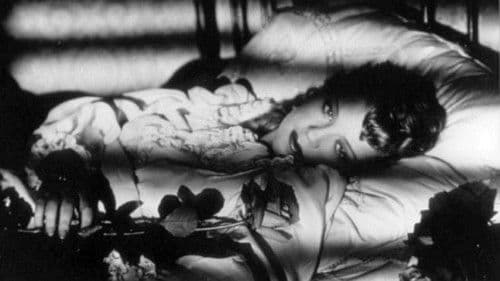 Verwehte Spuren Bild 3