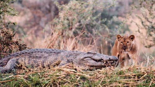 Katavi Africa's Fallen Paradise Bild 2