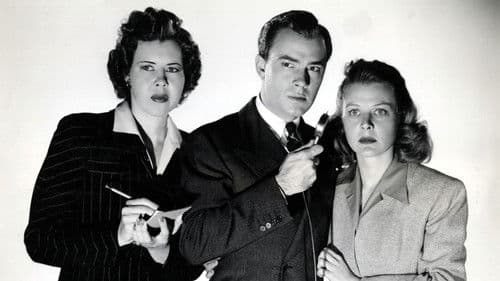 Stand By All Networks Bild 1