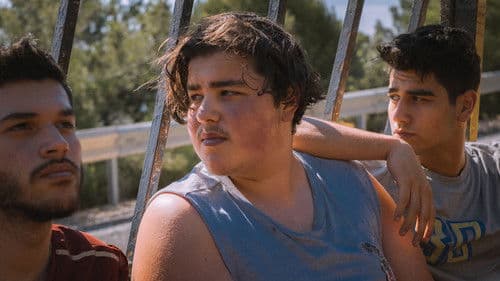 Zomerbroeders Bild 1