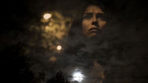 Światło nocy Bild 1