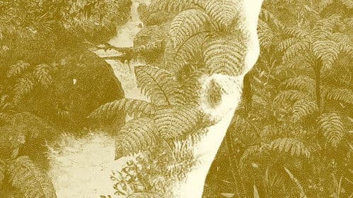 Baía dos Tigres Bild 1