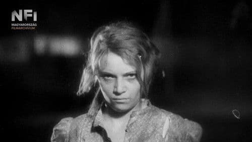 Tavaszi zápor Bild 3