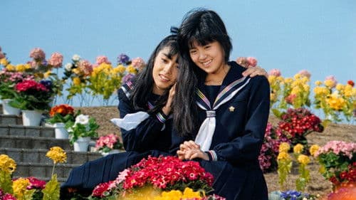 アリエスの乙女たち Bild 1