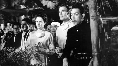 Am Himmel von China Bild 3