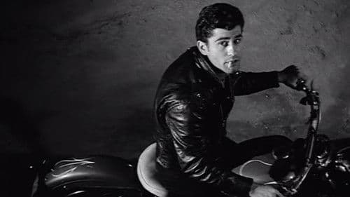 Violent Midnight Bild 1