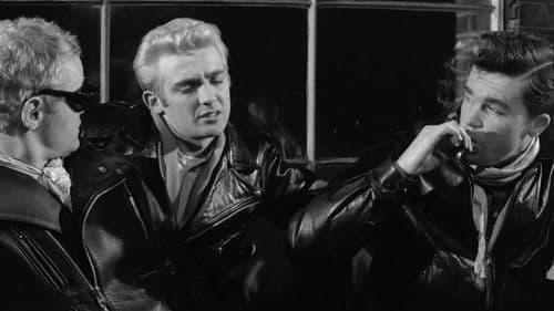 Die Lederjungen Bild 8