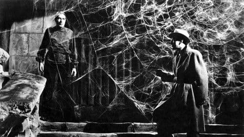 Draculas Tochter Bild 7