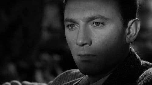 Der Weg nach oben Bild 5