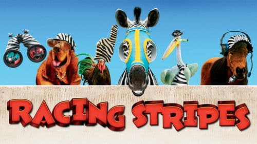 Im Rennstall ist das Zebra los Bild 8