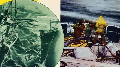 The Secret Land Bild 2