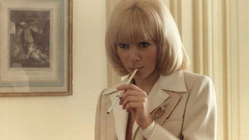 Das Kätzchen Bild 3