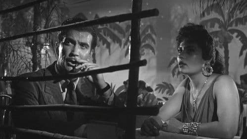 Los tallos amargos Bild 2