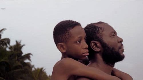 A Cemetery of Doves Bild 1