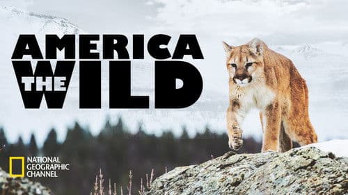 America the Wild with Casey Anderson Bild 3