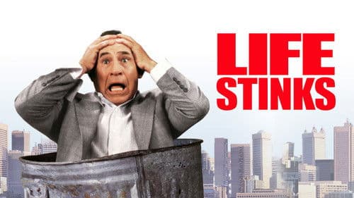 Das Leben stinkt! Bild 2