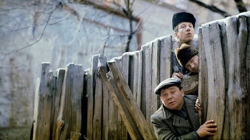 Gentlemen der Erfolge Bild 8