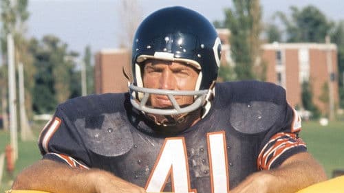 Freunde bis in den Tod Bild 6