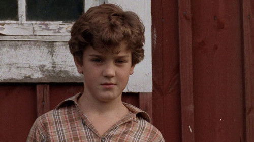 Wer springt am höchsten? Bild 3