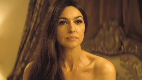 Spider In The Web Bild 5