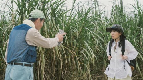 風のマジム Bild 2